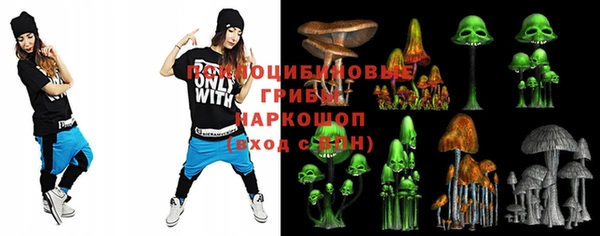 герыч Няндома