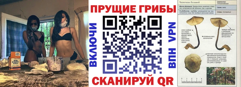 hydra рабочий сайт  Норильск  Галлюциногенные грибы MAGIC MUSHROOMS 